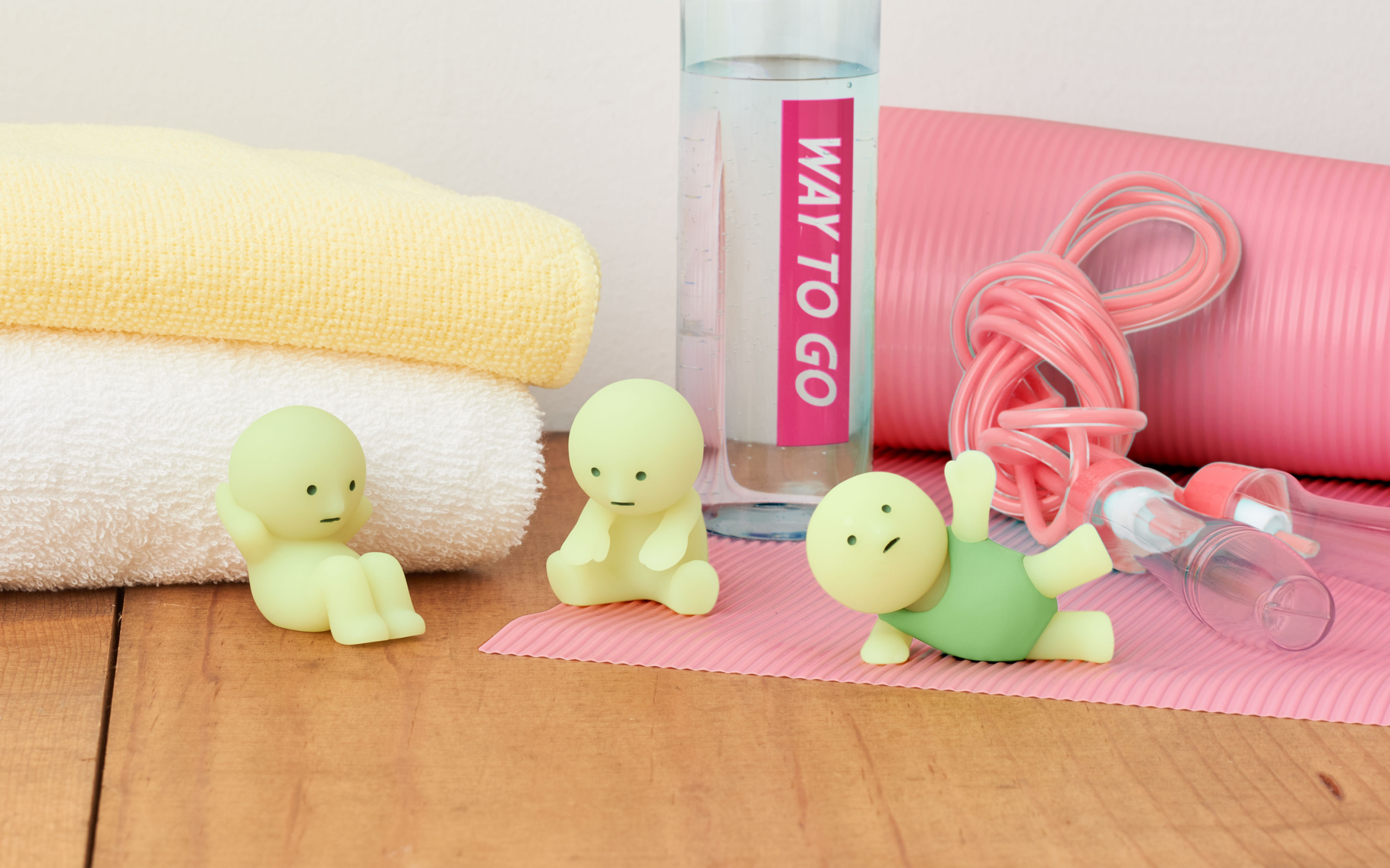 SMISKI Exercising Series - Image 9